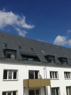 würzburg dachsanierung